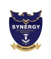 Synergy International School