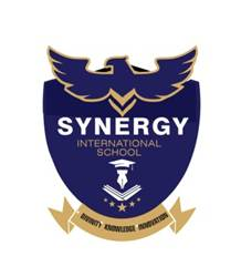 Synergy International School